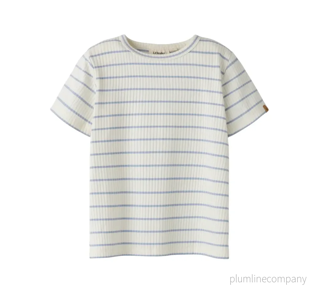 SISTA CHANSEN – Ribbad randig t-shirt – NMMKAIL SS TOP LIL NOOS – ZEN BLUE SISTA CHANSEN – Ribbad randig t-shirt – NMMKAIL SS TOP LIL NOOS – ZEN BLUE