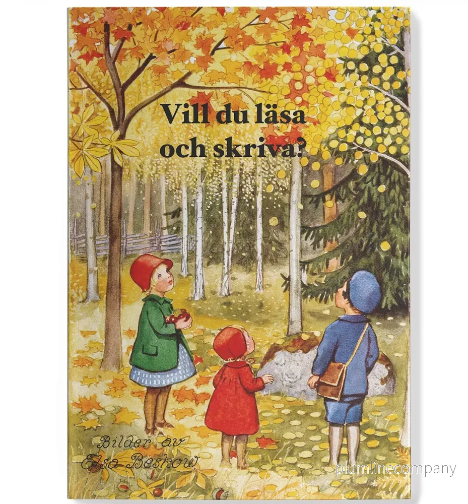 Vill du läsa och skriva? av Elsa Beskow