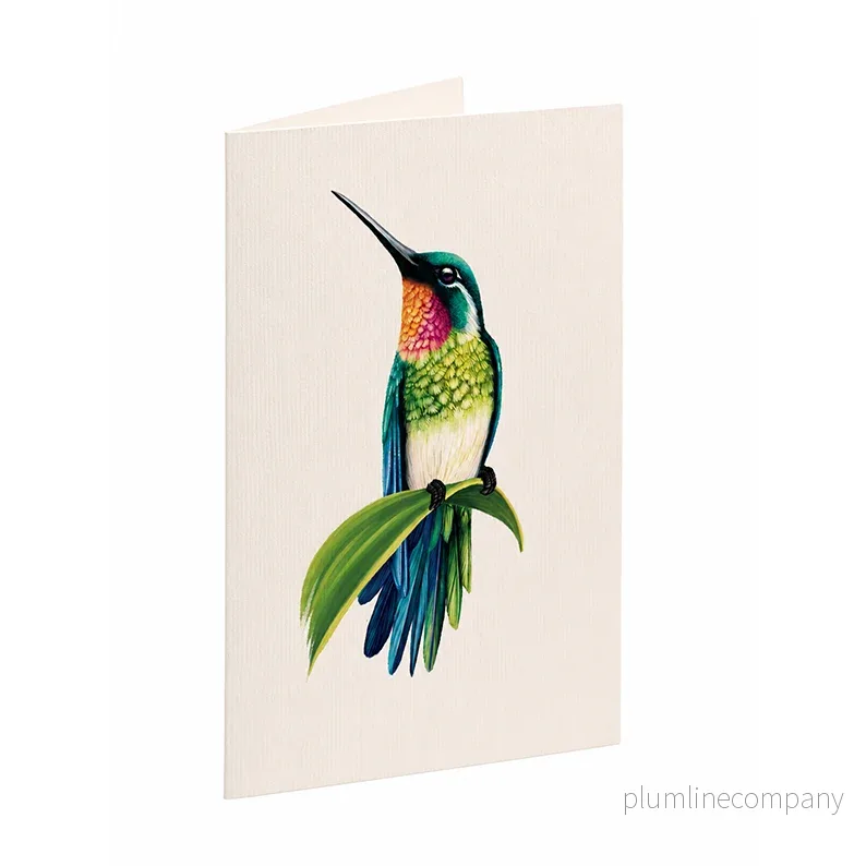 Pop-up kort, Kolibri oas - Bild 3
