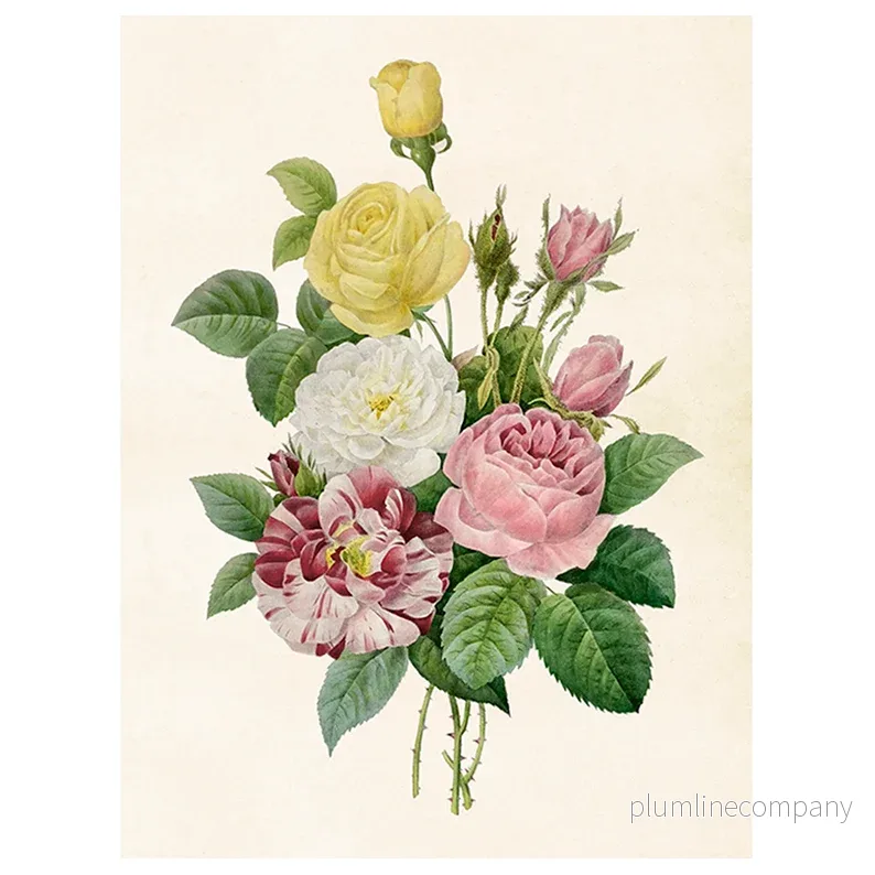 Poster, Rosbukett S (18 x 24 cm) Poster, Rosbukett S (18 x 24 cm)