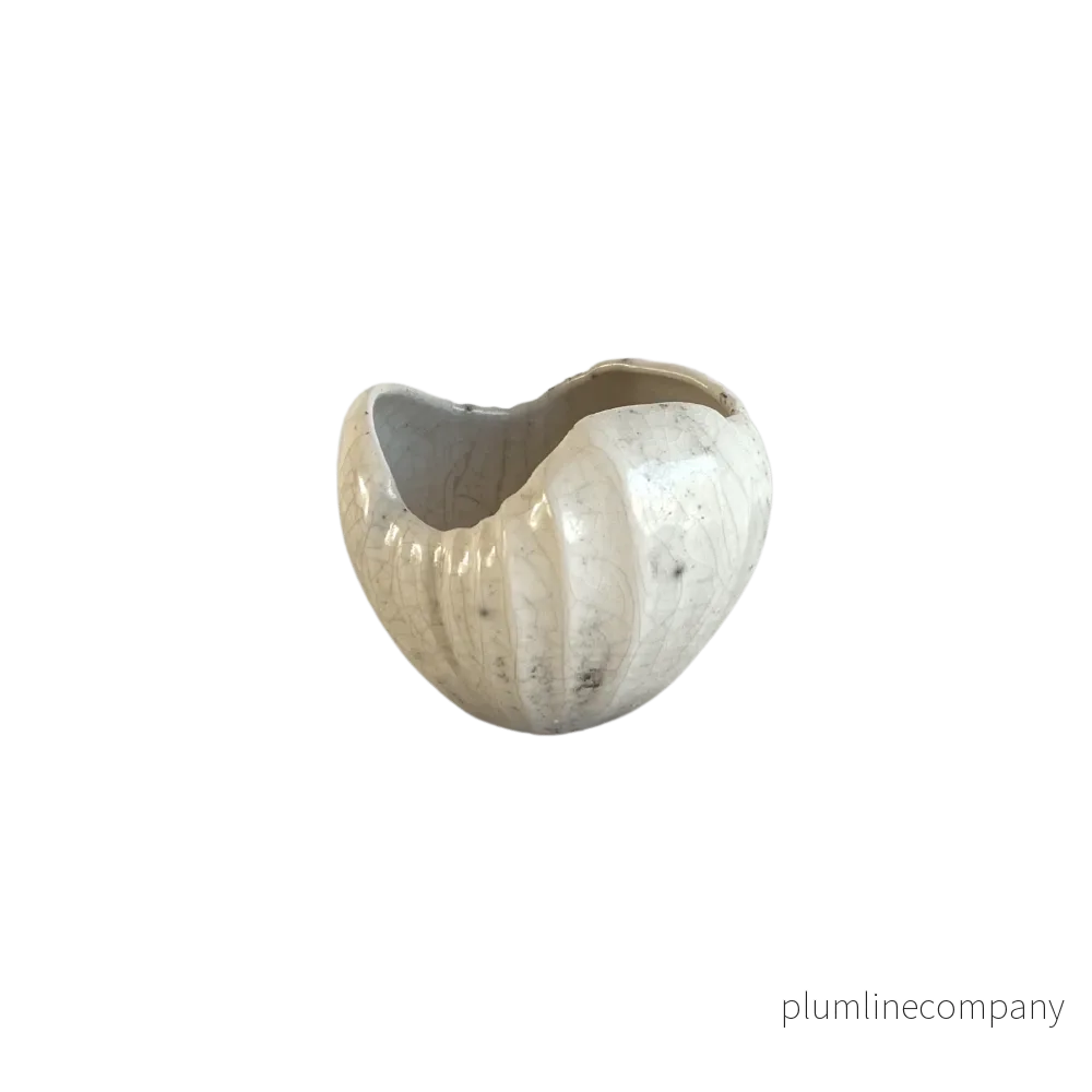 Snäcka Raku cream