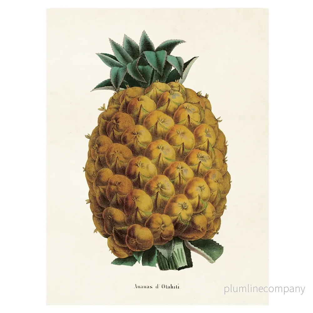 Poster, Ananas S (18 x 24 cm) Poster, Ananas S (18 x 24 cm)