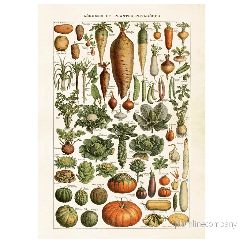 Poster Grönsaker L (50 x 70 cm)