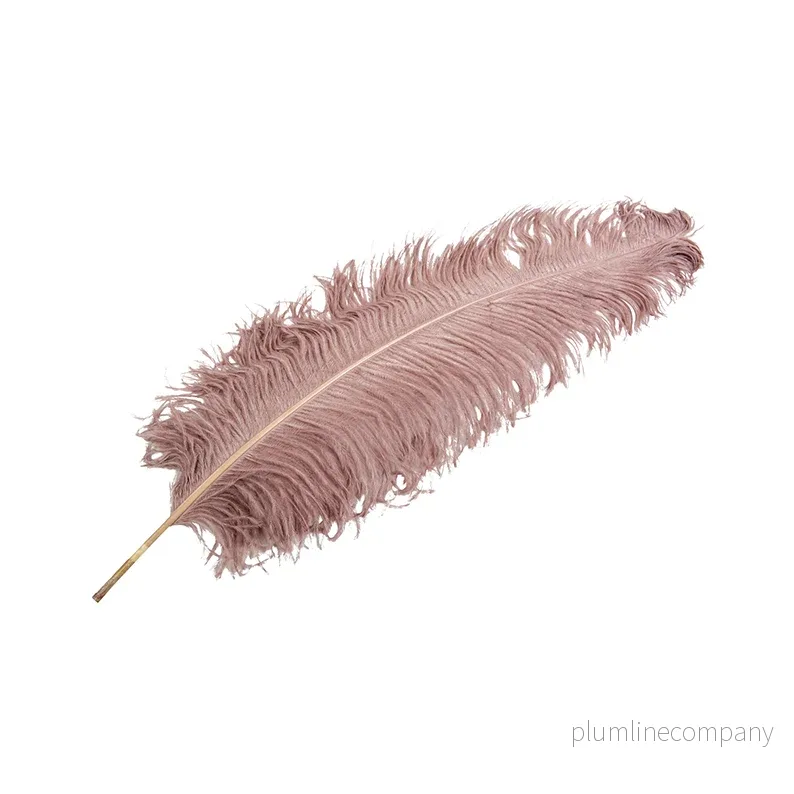 Strutsfjäder, Dusty pink XL Strutsfjäder, Dusty pink XL