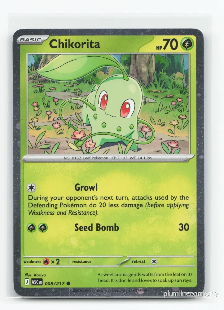 Chikorita 008/217 – Ascended Heroes Chikorita 008/217 – Ascended Heroes