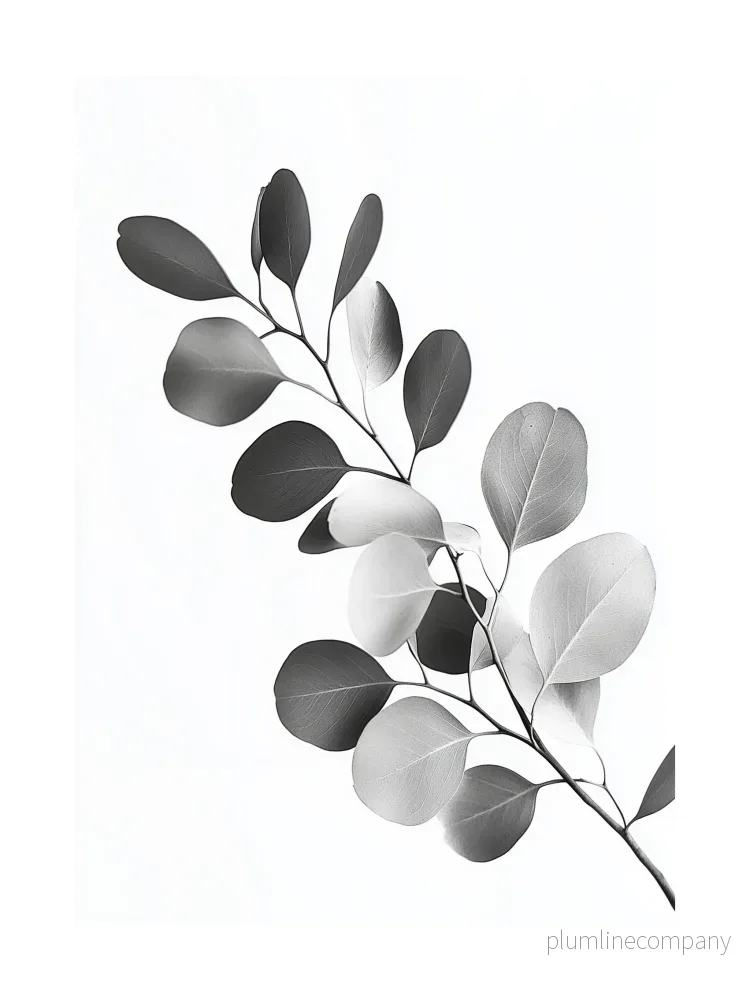 Eucalyptus Branch Poster Eucalyptus Branch Poster