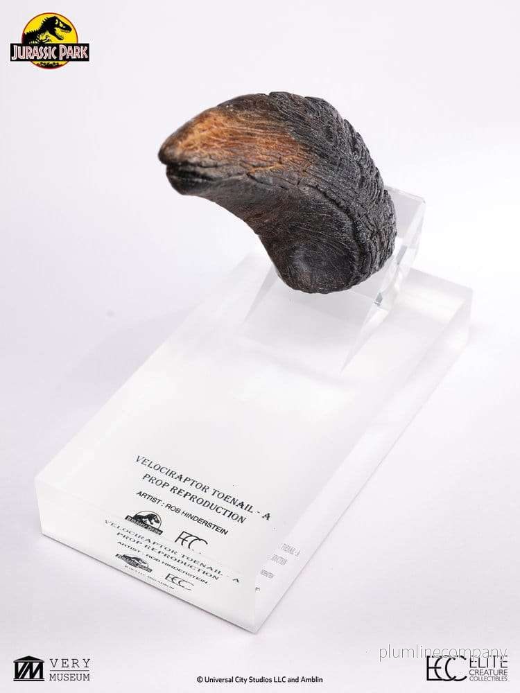 Jurassic Park 1/1 Replica Velociraptor-klotå Typ A 11 cm - Bild 3
