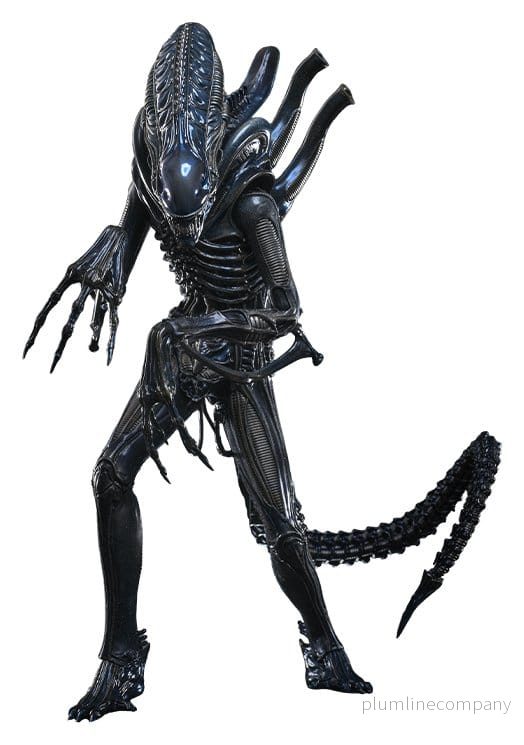 Alien Kultfigursactionfigur 1/6 Alien Warrior 39 cm Alien Kultfigursactionfigur 1/6 Alien Warrior 39 cm