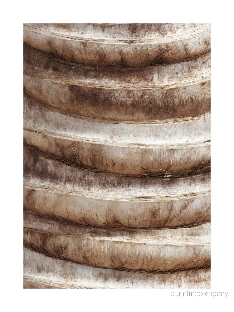 Warm Wood Rings Poster