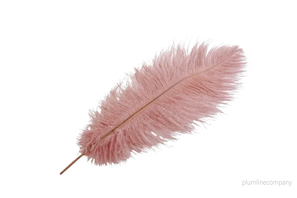 Strutsfjäder, Brunrosa S Strutsfjäder, Brunrosa S