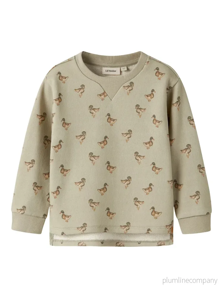 Mönstrad Collegetröja i Återvunnen Bomull – Moss Gray DUCK – NMMJOBO AIN LS LOOSE SWEAT LIL Mönstrad Collegetröja i Återvunnen Bomull – Moss Gray DUCK – NMMJOBO AIN LS LOOSE SWEAT LIL
