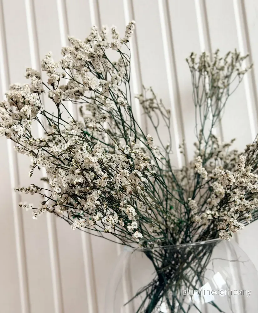 Torkad Limonium - Bild 2