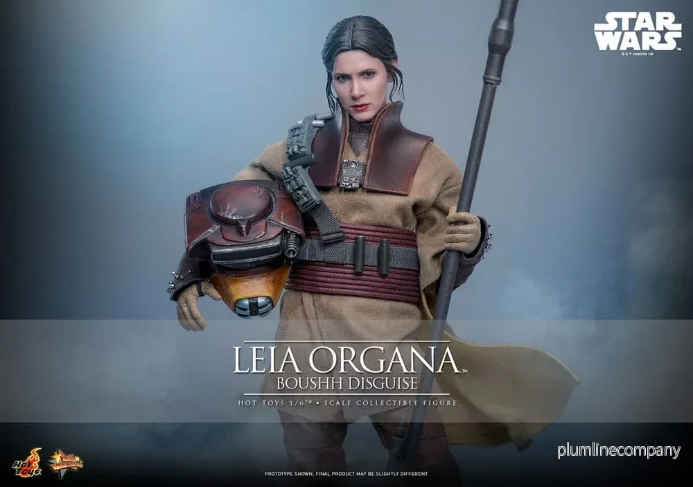 Star Wars Episode VI Filmmästerverk Actionfigur 1/6 Leia Organa (Boushh Förklädnad) 27 cm - Bild 3