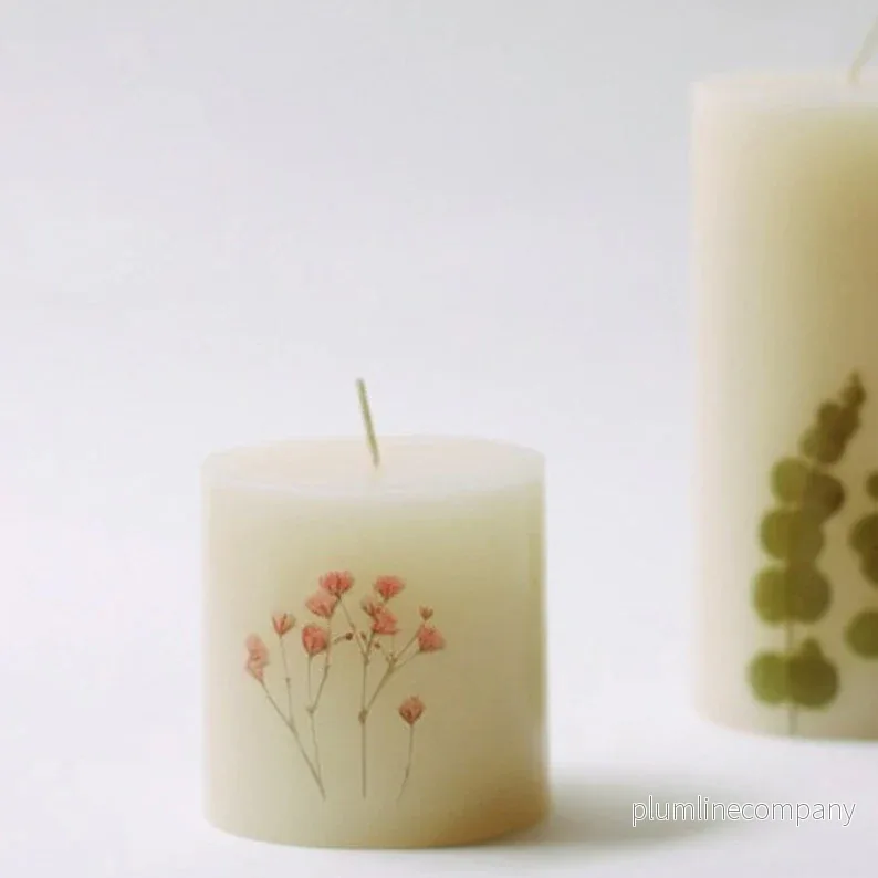 Pressade växter, Rosa brudslöja - Bild 3